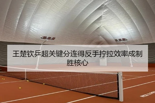 王楚钦乒超关键分连得反手拧拉效率成制胜核心 | LeyuSports